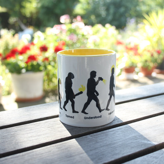 Enlightenment Evolution - Coffee Mug, 310 ml / 11oz
